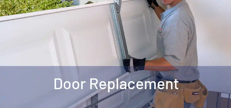  Door Replacement 